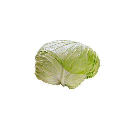 White cabbage