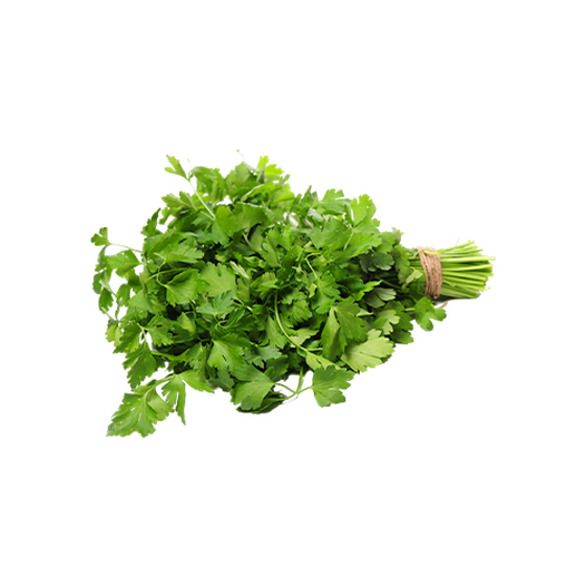 Cilantro