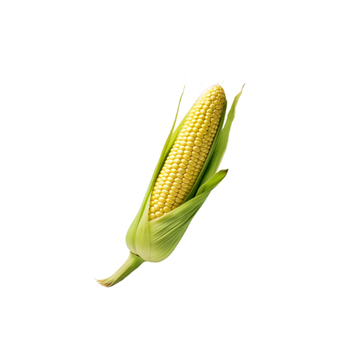 Corn