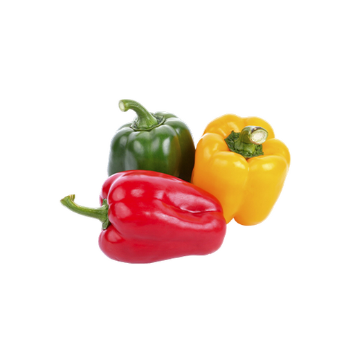 Bell pepper