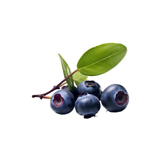 Blueberry