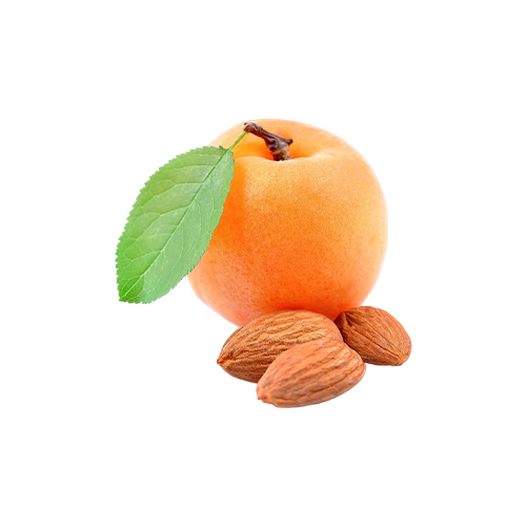 Apricot kernel