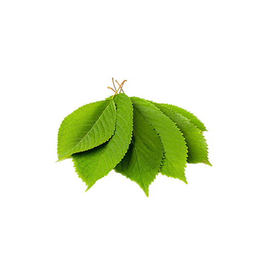 Cherry leaves
