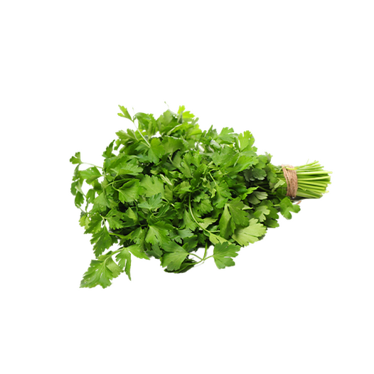 Cilantro, coriander