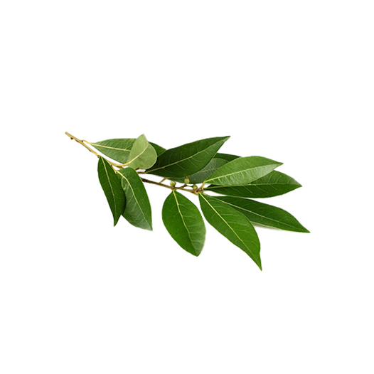 Laurel leaf