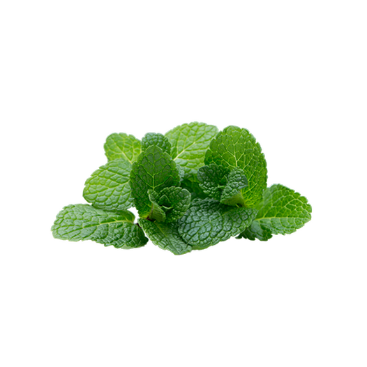 Mint