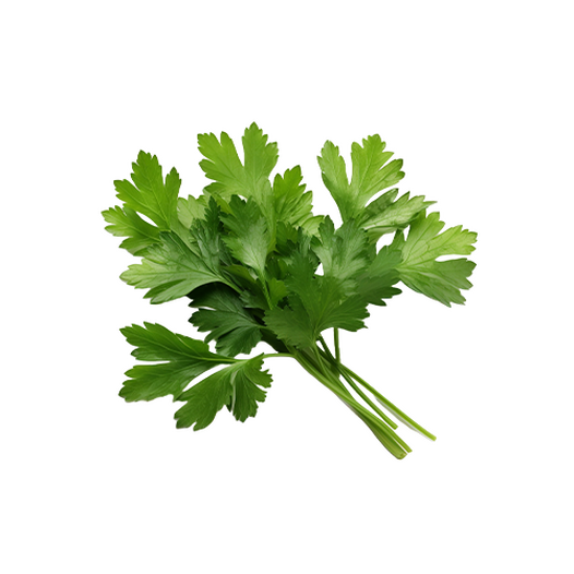 Parsley
