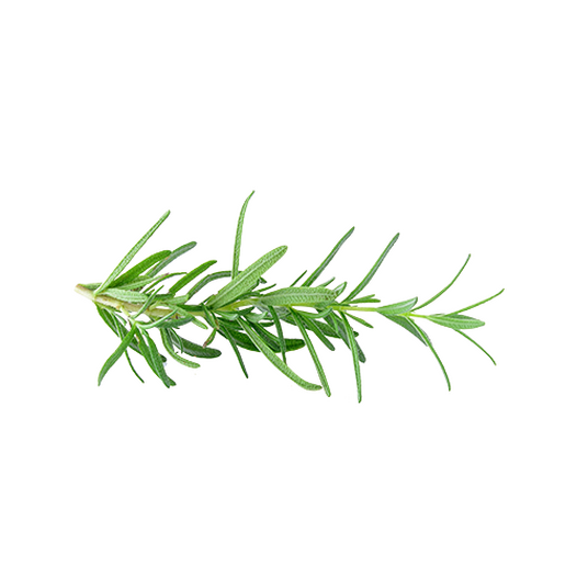 Rosemary