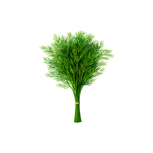 Dill