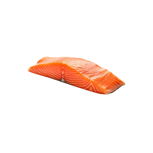 Coho salmon