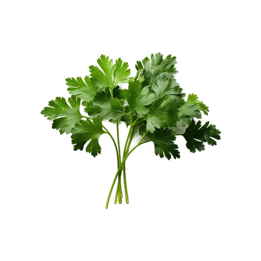Chervil