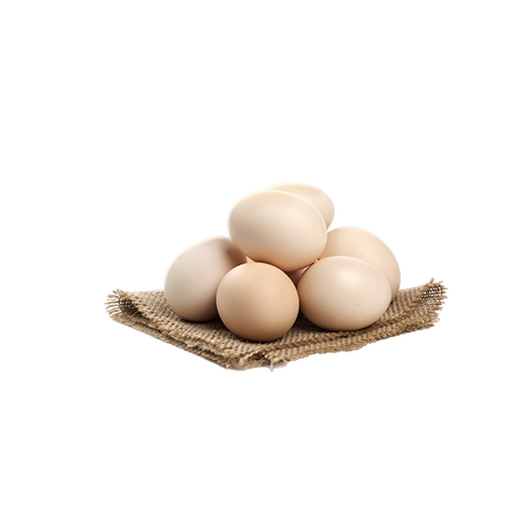 Chicken egg