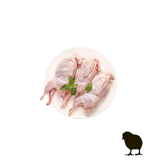 Chicks