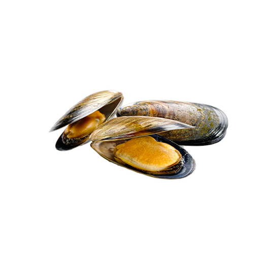 Boiled mussels