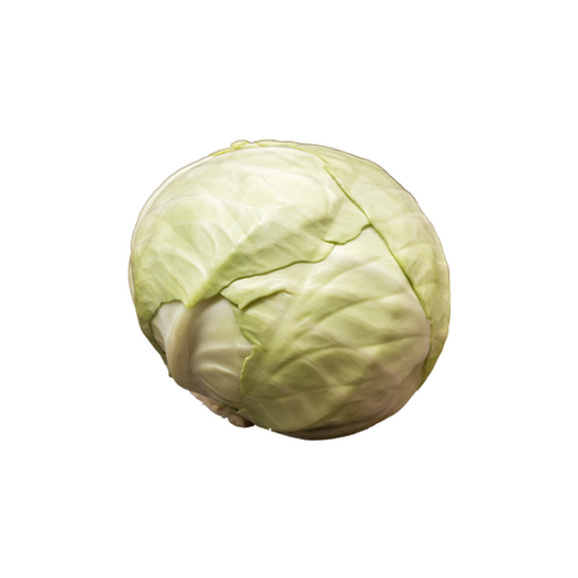 Boiled white cabbage