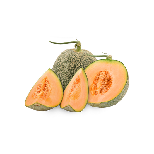 Cantaloupe melon