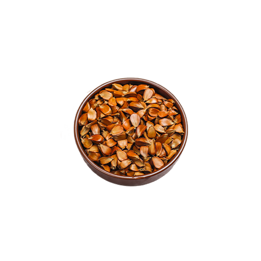 Beech nuts