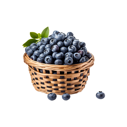 Bilberry