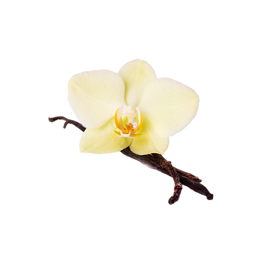 Vanilla