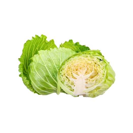 Cabbage