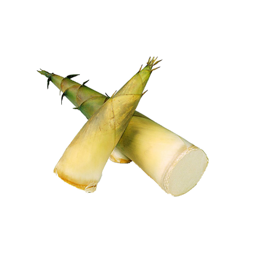 Bamboo shoots