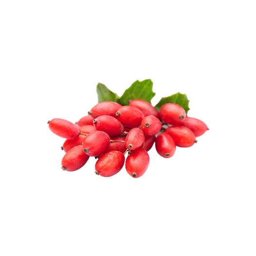 Barberry