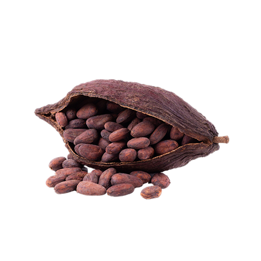 Cocoa