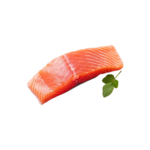 Salmon fish
