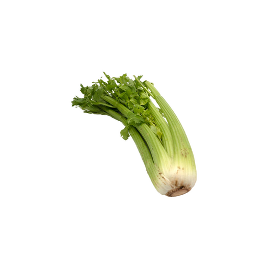 Celery stalk