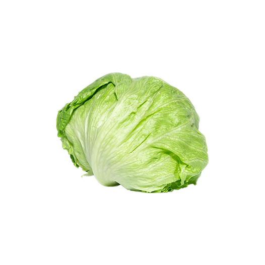 Iceberg lettuce