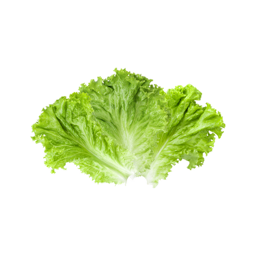 Lettuce leaves